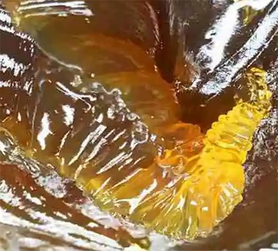 圖片18.jpg 圖片18.jpg